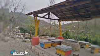 کندوی زنبور عسل اقامتگاه عمارت فرشتگان - تنکابن - روستای خشکرود